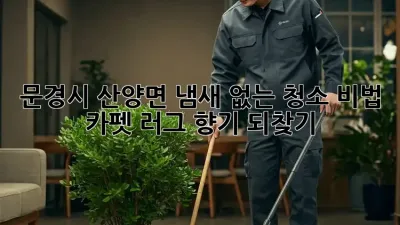 문경시 산양면🏡 냄새 없는 청소 비법: 카펫 러그 향기🌼 되찾기!