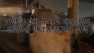 안양 중고차 무사고 매물 찾기: 안양9동 안양동 최고의 선택!