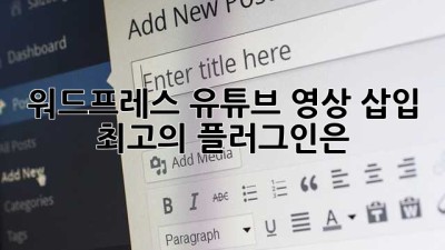 워드프레스 유튜브 영상 삽입, 최고의 플러그인은?